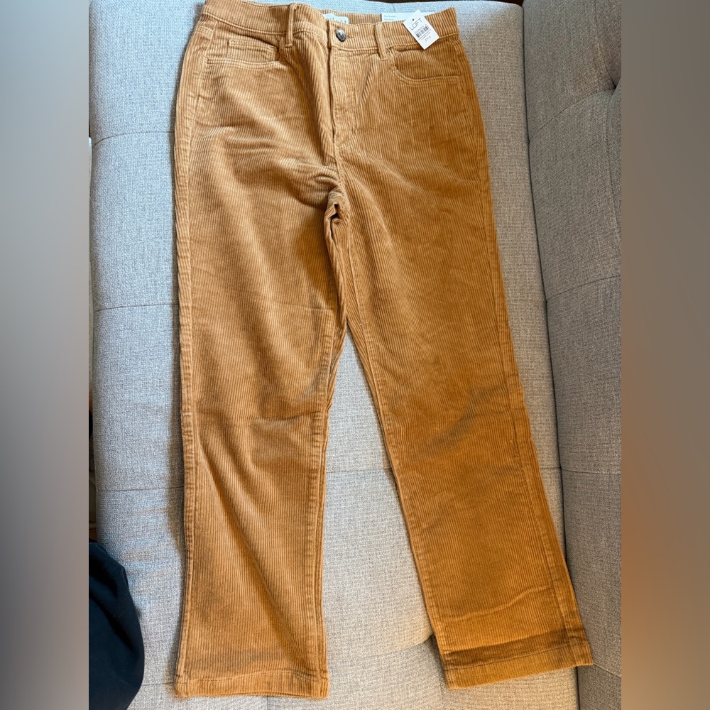 LOFT Camel Corduroy Trousers